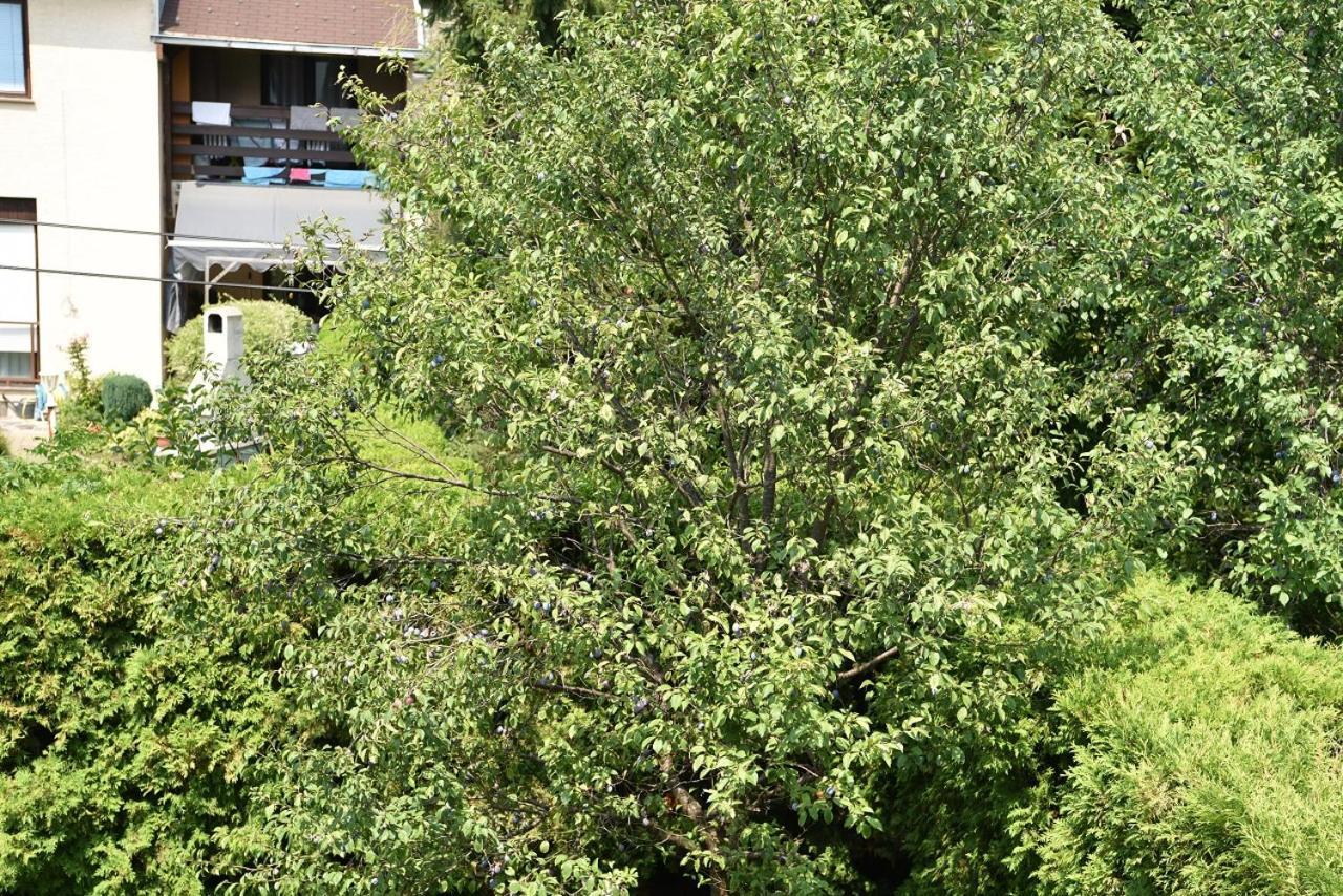 Apartman Jadranka Zaprešić Extérieur photo